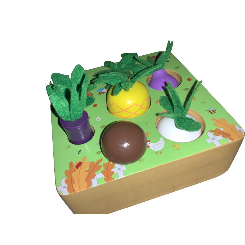 Wood Fruit Vegetable Size Sorter Puzzle Game Toddler Toy